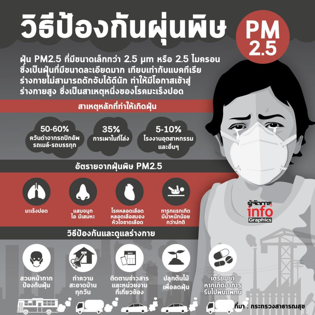 njmediastation.com - วิธีป้องกันฝุ่น PM2.5 เข้าสู่ร่างกาย