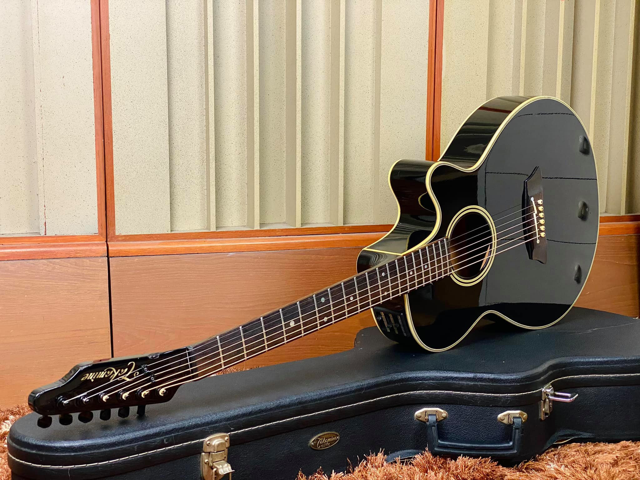 タカミネ PT-106 アコースティックギター エレアコ ハードケース 