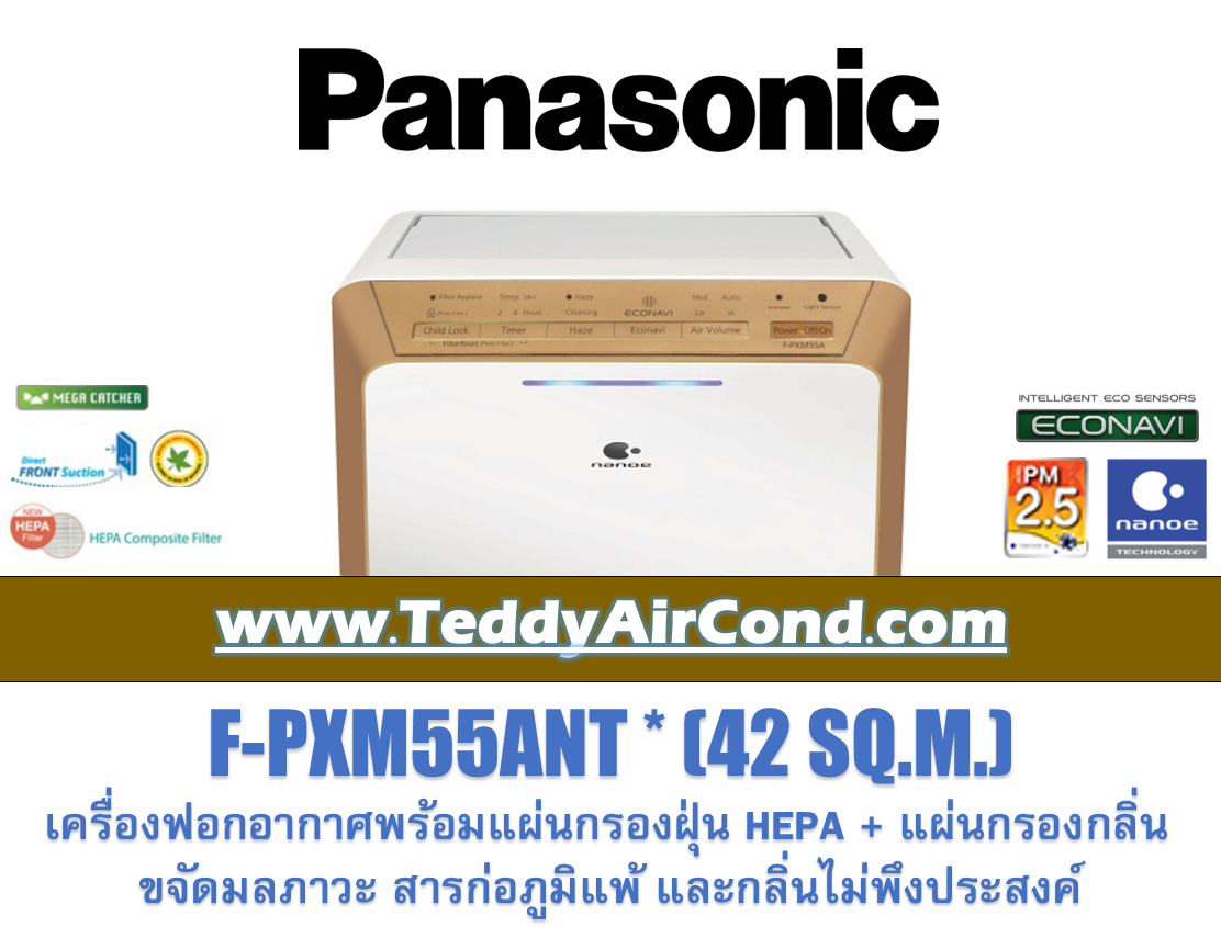 Panasonic hepa 2024 air purifier