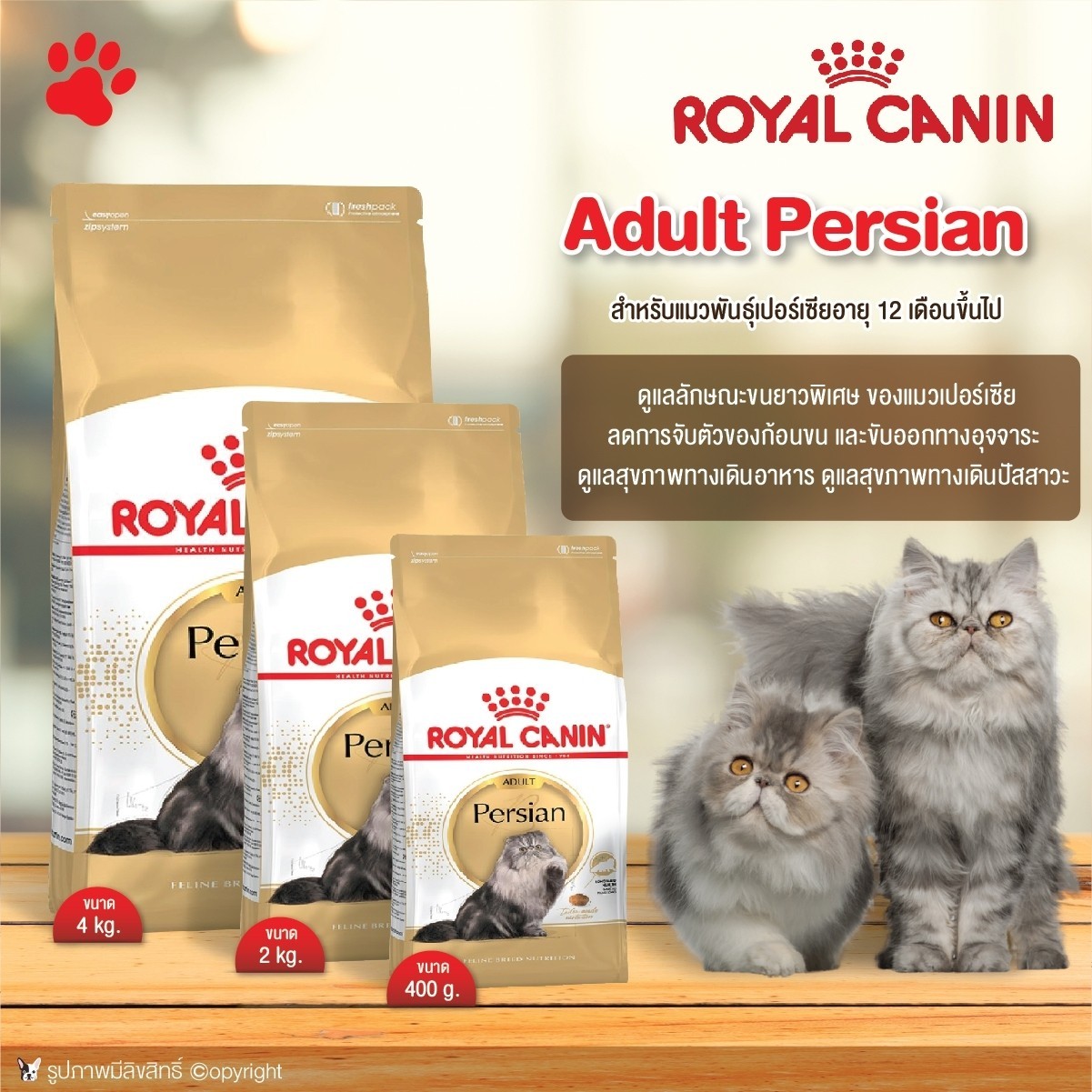 Royal Canin Adult Persian สำหรับแมว พันธุ์เปอร์เซีย อายุ 12 เดือนขึ้นไป