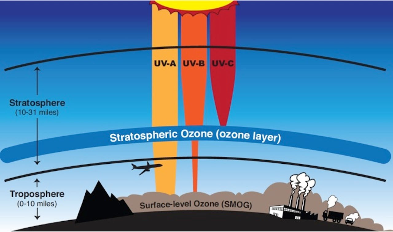 case study 1 atmospheric ozone answers