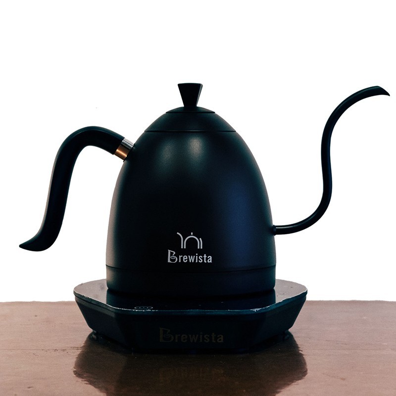 brewista artisan 600ml gooseneck variable temperature kettle