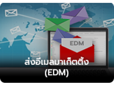 บริการส่ง Email Marketing (EDM)